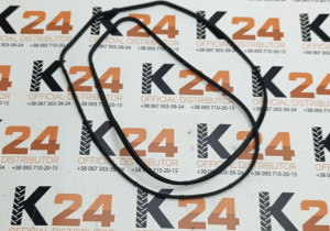 Прокладка кришки двигуна 4R.110001B-1 240100368159
