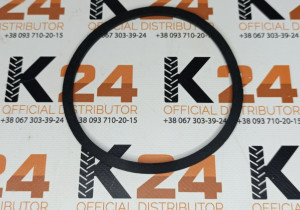 Ущільнююче кільце XYLQ-09-002 240100176405