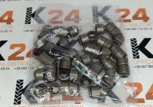 Сальник клапана R.010019YA 240100009946