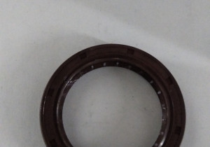 Сальник 55*75*12 PG(SG)55*75*12  210802000521