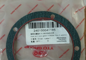 Прокладка кришки двигуна R.080005W 240100041195