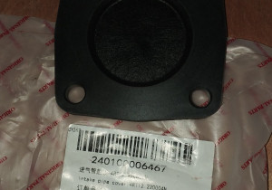 Заглушка впускного колектора 4RT12.220004N 240100006467
