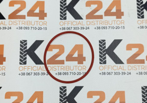 Ущільнювальне кільце RT.060019-1 240100007171