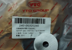 Упорна шайба R.060004 240100005786  240100320260