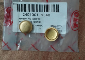 Заглушка блока двигуна 4NC.020051FE 240100119348