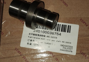 Опора шестерні приводу балансирного валу 4NC.060038 240100036754