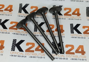 Впускний клапан 4A3LRP-T6.010001L  240100218703