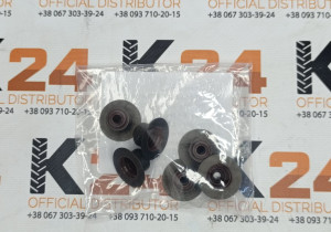 Сальник клапана S00008872+02 240100389344