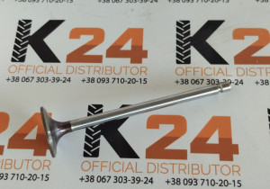 Впускний клапан S00002885+07 240100389348